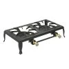 Stansport Double Burner Cast Iron Stove