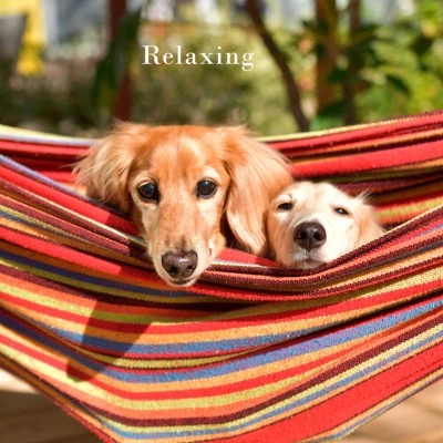 Pure Garden 2-Person Hammock with Stand, 450lb Weight Capacity, Blue/Red Stripe 7 Pure Garden 2-Person Hammock with Stand, 450lb Weight Capacity, Blue/Red Stripe - Image 5