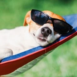 Hastings Home Portable Hammock with Stand, Gray -Outlet Camping Gear Store unnamed file 3416