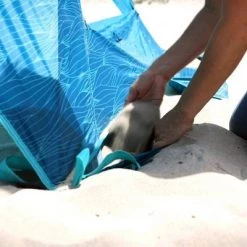 Lightspeed Outdoors 221091 A-Shade Outdoor Beach Tent with UV Protection and Adjustable Height and Width for Parks, Festivals, Beaches, and More, Blue 8 Lightspeed Outdoors 221091 A-Shade Outdoor Beach Tent with UV Protection and Adjustable Height and Width for Parks, Festivals, Beaches, and More, Blue -Outlet Camping Gear Store unnamed file 3915