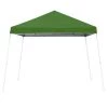 Z-Shade Z Shade 10x10 Foot Angled Leg Instant Shade Canopy Tent Portable Shelter, Green & Durable Plastic 5 Pound Canopy Tent Leg Weight Plates, Set of 4