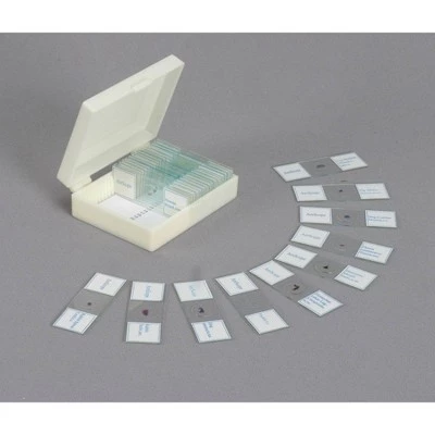 Portable 40X-1000X Monocular Student Microscope with Prepared Slides and Microscope Book - AmScope 6 Portable 40X-1000X Monocular Student Microscope with Prepared Slides and Microscope Book - AmScope - Image 4