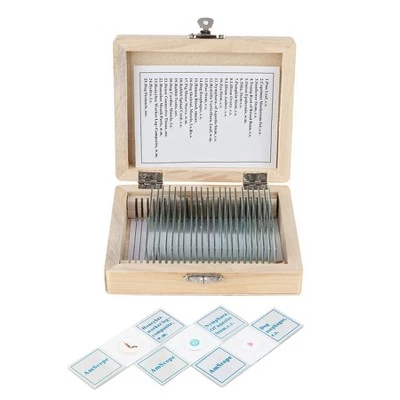 25pc Set of Prepared Plant, Animal, Insect, and Fungus Glass Slides in a Wooden Storage Box - AmScope 3 25pc Set of Prepared Plant, Animal, Insect, and Fungus Glass Slides in a Wooden Storage Box - AmScope