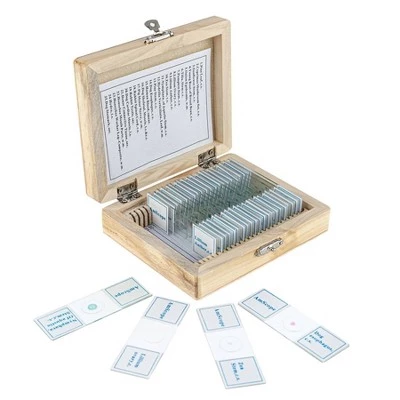25pc Set of Prepared Plant, Animal, Insect, and Fungus Glass Slides in a Wooden Storage Box - AmScope 4 25pc Set of Prepared Plant, Animal, Insect, and Fungus Glass Slides in a Wooden Storage Box - AmScope - Image 2