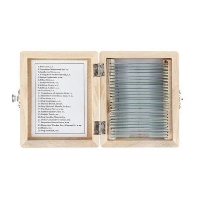 25pc Set of Prepared Plant, Animal, Insect, and Fungus Glass Slides in a Wooden Storage Box - AmScope 5 25pc Set of Prepared Plant, Animal, Insect, and Fungus Glass Slides in a Wooden Storage Box - AmScope - Image 3