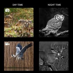 Hike Crew Digital Night Vision Binoculars, Capture Photos & Record Videos, Large LCD Screen with 7 Levels of Brightness for 100% Darkness, Infrared Night Goggles for Hunting -Outlet Camping Gear Store unnamed file 6197