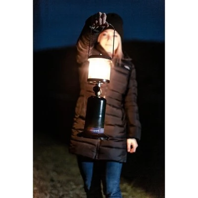 Stansport Glass Heat Resistant Lantern Globe 4in x 4in x 5in 4 Stansport Glass Heat Resistant Lantern Globe 4in x 4in x 5in - Image 2