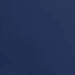 ALPS Mountaineering Lynx 4 Tent Floor Saver